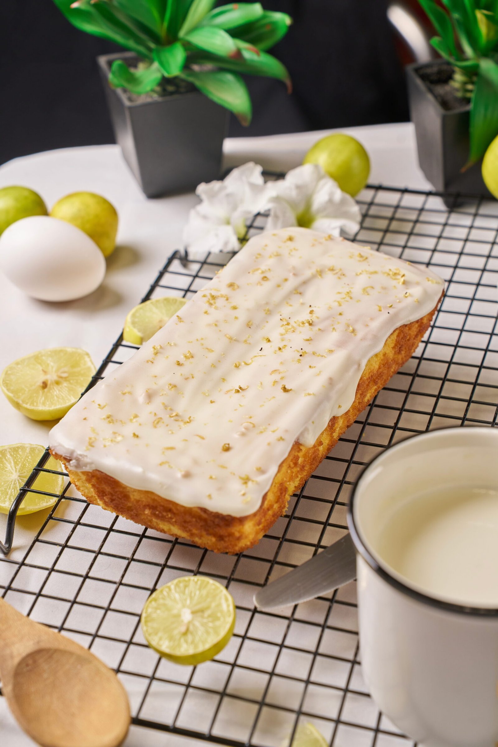 Professional food photography